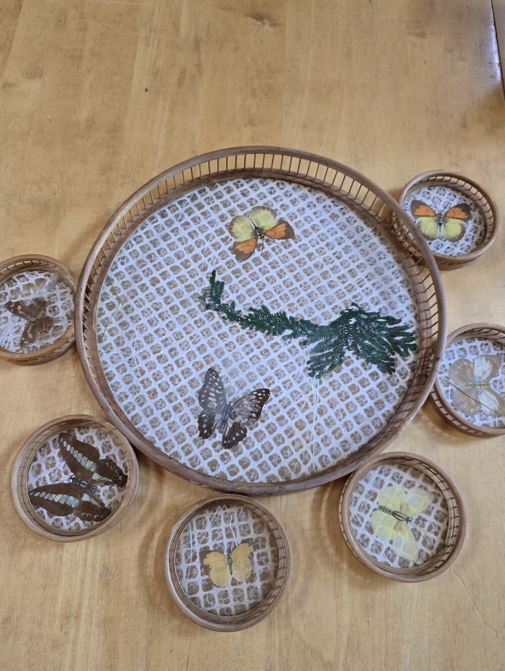 1970s Handmade Preserved Butterfly Bamboo Serving Tray Set
